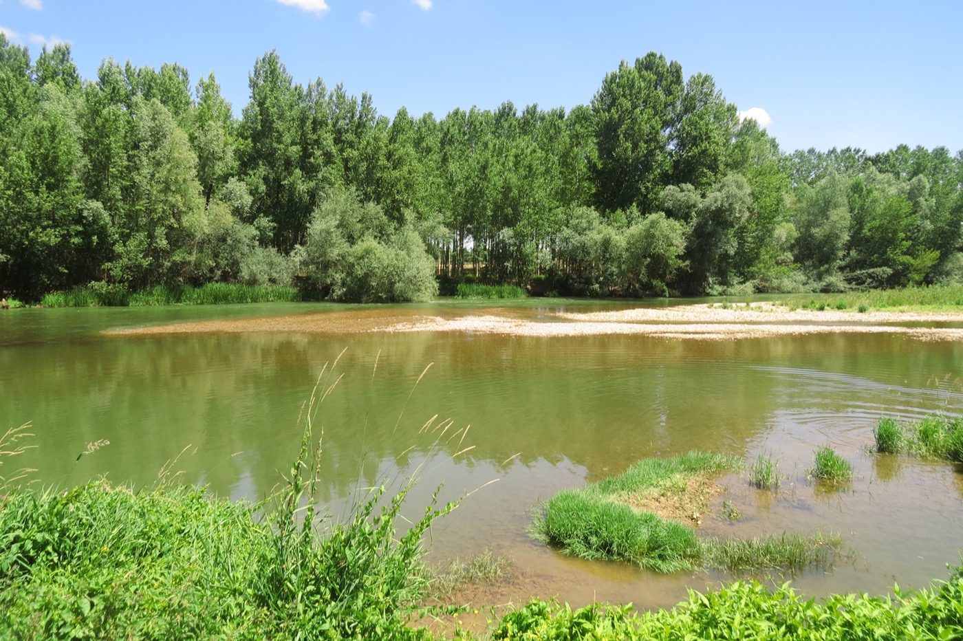 Río Esla y su entorno natural