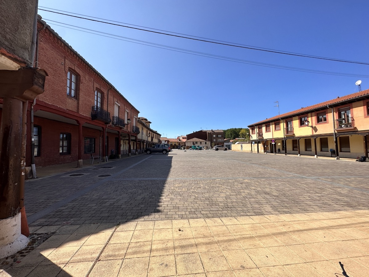 Mansilla de las Mulas — Virgen de Gracia
