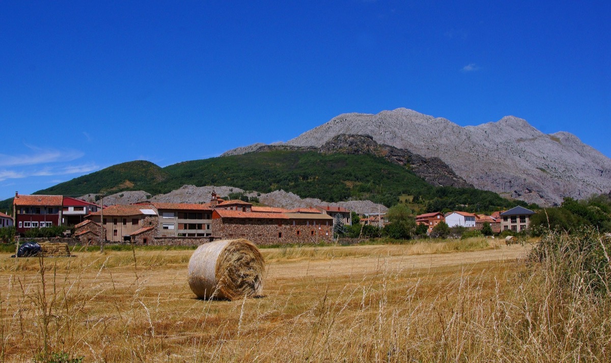 Vegacervera — Festival de la Cecina de Chivo